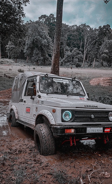 德甲是一个 德甲是一个