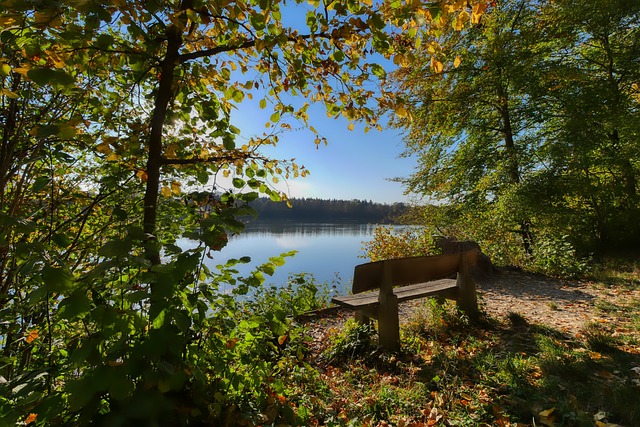 成為比賽中 成為比賽中