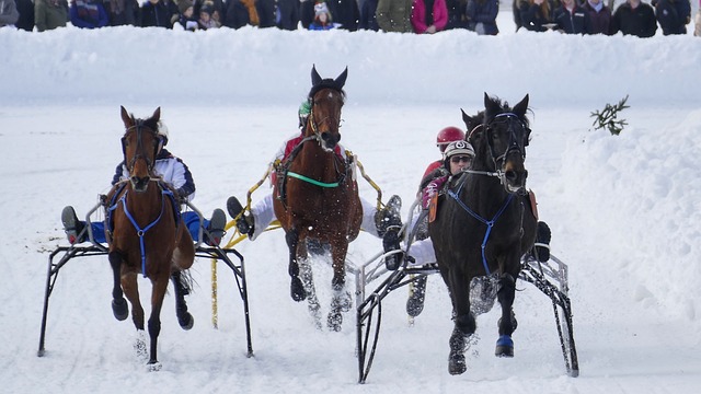 的阵容有重 的阵容有重