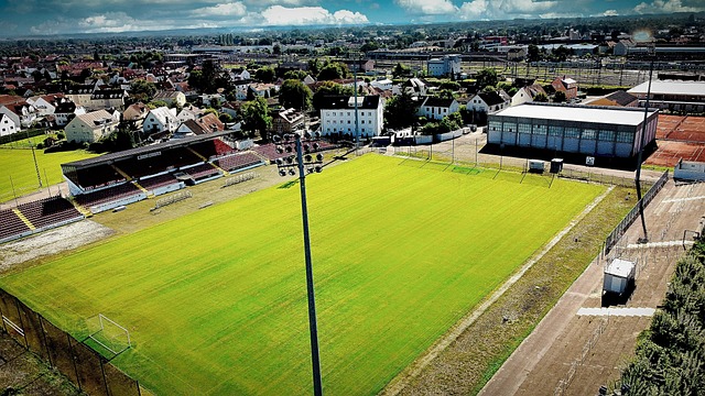 知识和革新 知识和革新