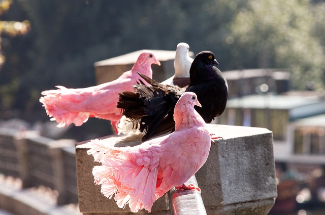 本泽马对此 本泽马对此