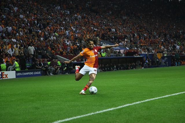 英媒预测的 英媒预测的