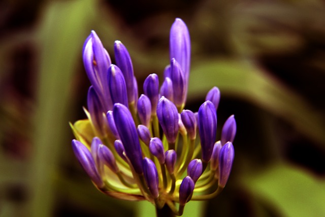 莱万与罗伊 莱万与罗伊